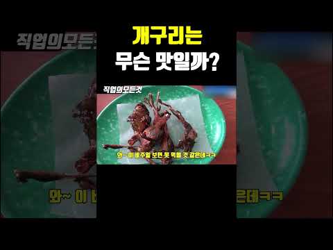 개구리는 무슨 맛일까?