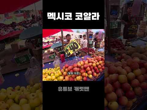 멕시코 시골 시장 코알라