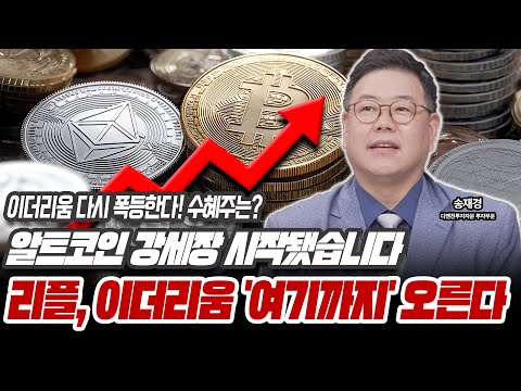 알트코인이 폭발한다! 최대 수혜주는? [송재경 / 디멘젼투자자문 투자부문 대표]