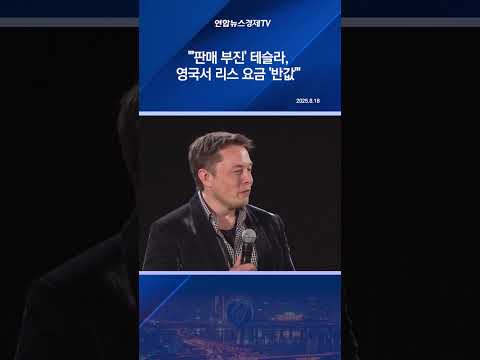 "'판매 부진' 테슬라, 영국서 리스 요금 '반값'"