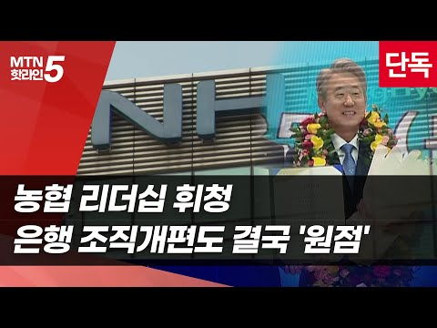[단독] 농협 리더십 휘청…은행 조직개편도 결국 '원점' [금융속으로] / 머니투데이방송 (뉴스)