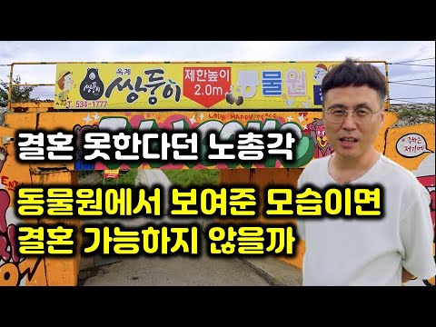 동물원에서 아이처럼 웃는 40대 탈모 노총각… 이런 모습이면 결혼도 가능하지 않을까 [탈모노총각 강릉가다 3부]
