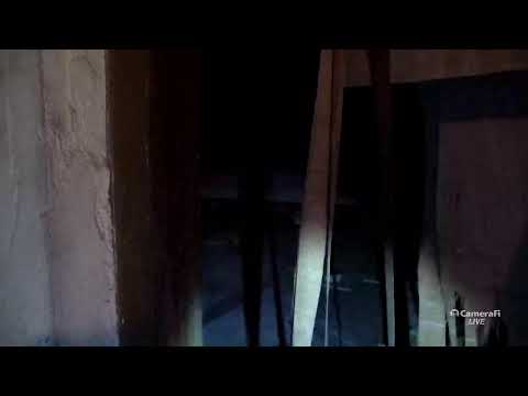 (공포흉가) 폐 예배당 https://bbs.opparadise.com/data/apms/video/youtube/pANzgt3CpHo.jpg (공포흉가) 폐 예배당