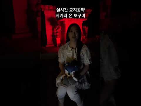 **실시간** 묘지 공약 지키러 온 뽀구미