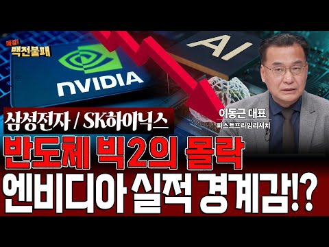 엔비디아 실적 앞두고 반도체 빅2 폭락! 삼성전자 / 하이닉스 절호의 찬스인가?
