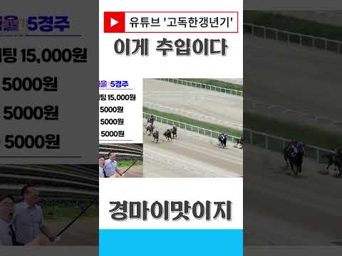 이게 경마 추입이다!!