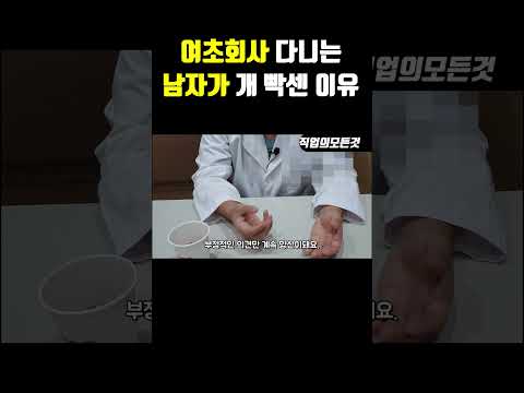 여초회사 다니는 남자가 개 빡센 이유