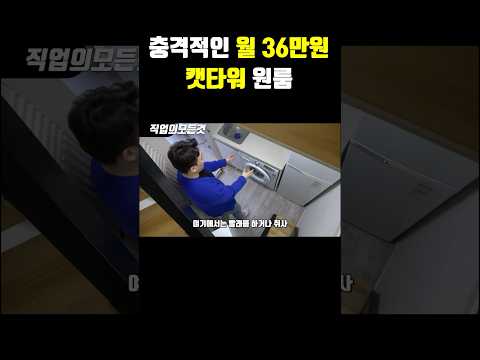 충격적인 월 36만 원 캣타워 원룸