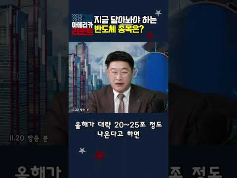 [매아리] 지금 담아놔야 하는 반도체 종목은?