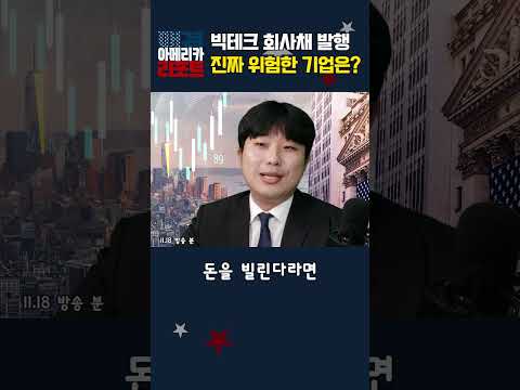 [매아리] 빅테크 회사채 발행 진짜 위험한 기업은?