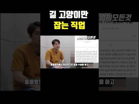 길 고양이만 잡는 직업