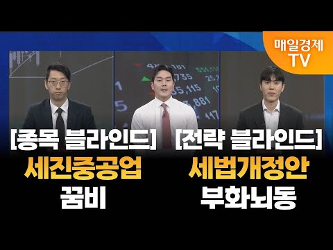 [블라인드 뷰] 야간투자본부/ 야자본/ 블라인드 뷰/ 변성중 더채움투자자문 차장/ 김덕호 주식회사 플레처 대표/ 매일경제 TV