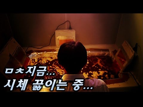 미쳤습니다ㄷㄷ 오늘, 회사원 아빠는 살인자가 되어버렸다..!![드라마리뷰/결말포함]