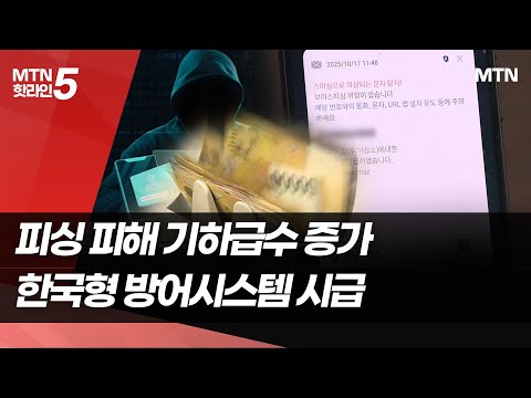 피해 기하급수 증가…"민·관 공조 '한국형 방어시스템' 구축해야" [피싱, '초국가' 대응②] / 머니투데이방송 (뉴스)
