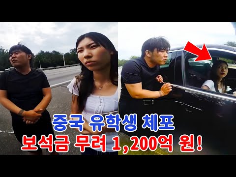 중국 유학생 차량 정차 후  미국 경찰이 더 큰 비밀을 알아냈다!