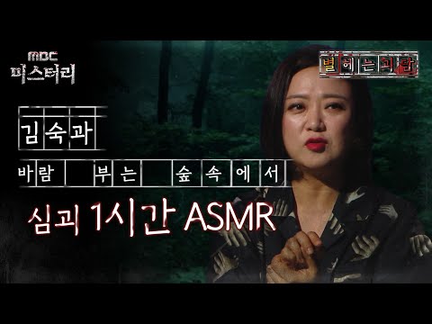 [별 헤는 괴담] 김숙과 바람 부는 숲속에서 심괴 1시간 ASMR #심괴 #어둑시니 #midnight #horrorstory MBC230905방송