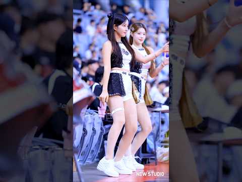 " KT간판 치어리더 피리아웃송 " 250817 김진아치어리더 직캠