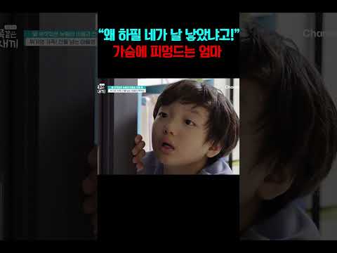 엄마 마음에 피멍 들게 하는 금쪽이의 말..#금쪽같은내새끼