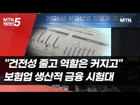 "건전성 줄고 역할은 커지고"…보험업 생산적 금융 시험대 / 머니투데이방송 (뉴스)