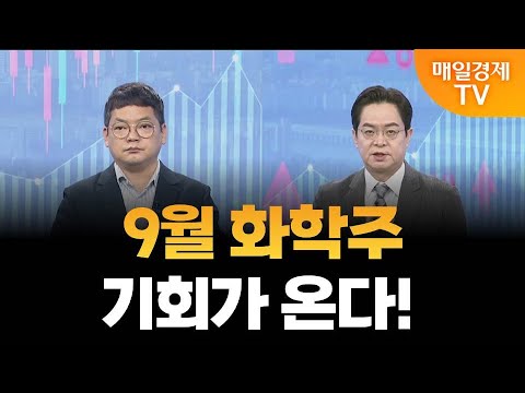 [더 증시 라이브] 석유화학 옥석이 가려질 시간!_김종효 알파경제 이사